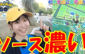 愛知県でソースが濃い公園発見！初めての公園でポケ活:ポケモンgo