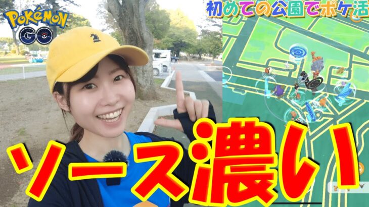 愛知県でソースが濃い公園発見！初めての公園でポケ活:ポケモンgo