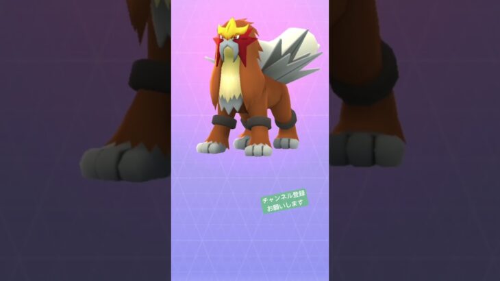 #ポケモンgo #ポケgo #ポケモン #pokemongo #pokemon #pokémon #エンテイ #entei #チャンネル登録お願いします #shorts #get #レイド