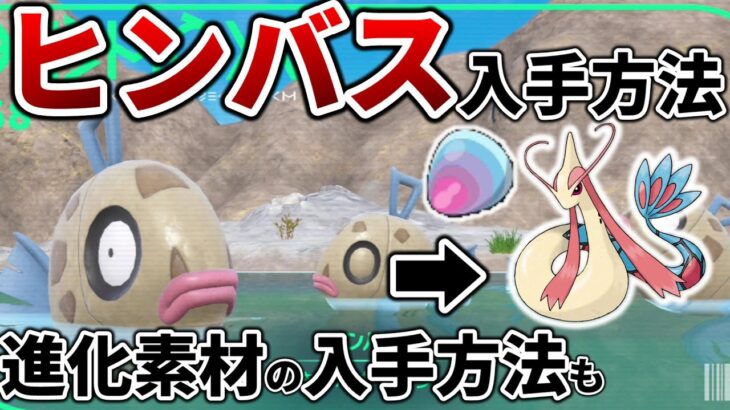 【ポケモンsv】ヒンバスとミロカロスの進化に必要な「きれいなウロコ」の入手方法を紹介【ポケットモンスター スカーレット・バイオレット ゼロの秘宝 前編・碧の仮面】