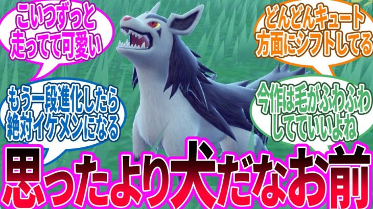 グラエナ ← 賢そうな顔してるのに動きがまんま犬なのいいよね…に対するトレーナー の反応集【ポケモン 反応集】