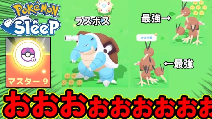 ワカクサ本島が強すぎる件について。【ポケモンスリープ】