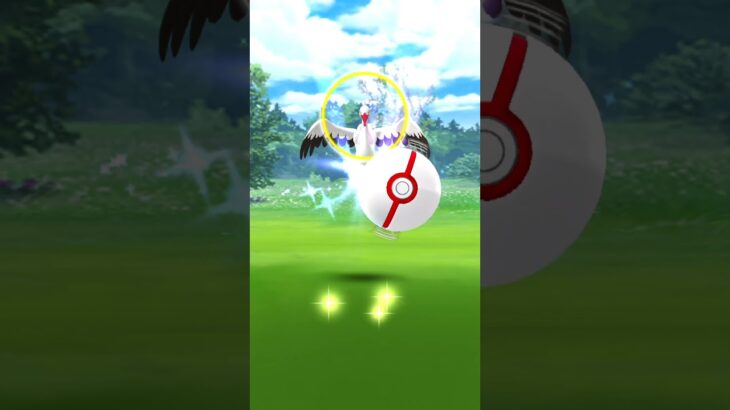 【ポケモンGO】オトシドリとレイドバトルしてみたら！？