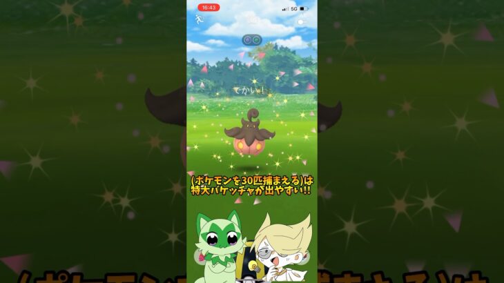 特大バケッチャの色違い欲しいぜ…【ポケモンGO】