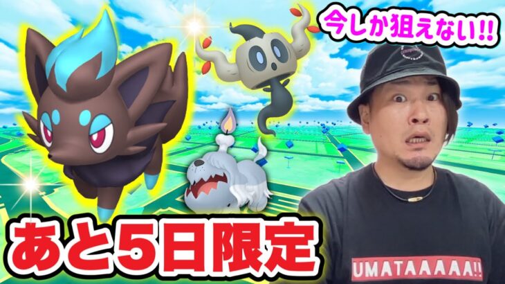 今逃すと入手ほぼ無理ゲーに！狙うべき色違いポケモン５選【ポケモンGO】