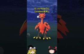 【ポケモンGO】ガラル３鳥ゲットには集中力が大事⁉️（ガラル三鳥 チャレンジ 61回目）#shorts