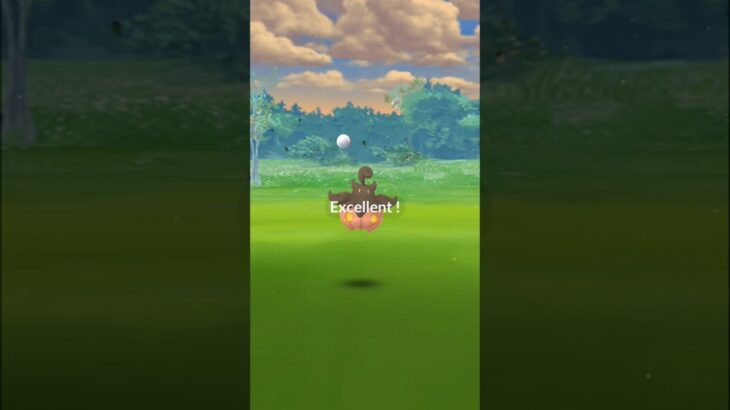 【ポケモンGO】 No.0710 バケッチャ (おおきいサイズ)へのエクセレントスロー 【エクセレントスローずかん】