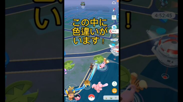 【ポケモンGO】この中に色違いがいます！ #ポケモンgo #色違いポケモン