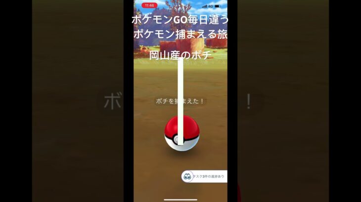 ポケモンGO毎日違うポケモン捕まえる旅 岡山産のボチ #ポケモン #ポケモンgo