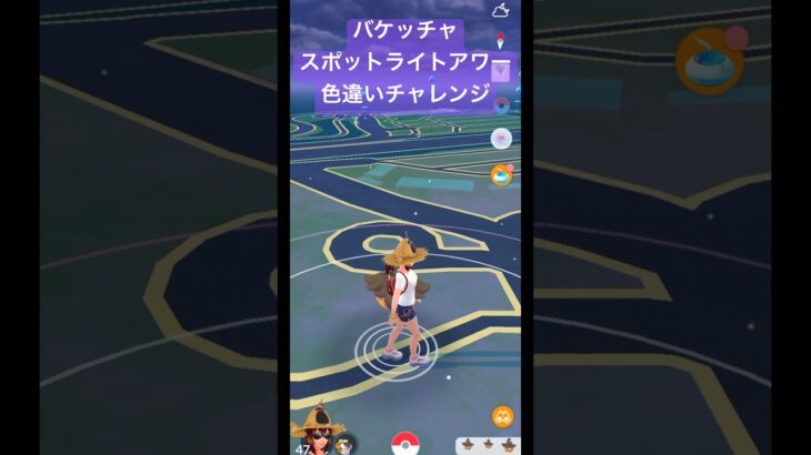 【ポケモンGO】バケッチャ スポットライトアワー 色違いチャレンジ#ポケモンgo #pokemongo #色違いポケモン #shorts