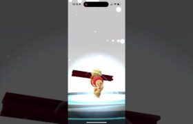 【ポケモンGO】色違いローブシンへ進化させる！コミュニティデイ #shorts