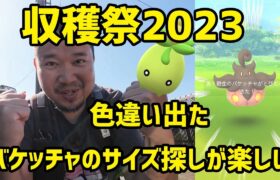 【ポケモンGO】バケッチャのサイズ集めが楽しい、色違いも出た！収穫祭2023