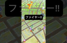 【ポケモンGO】ファイヤーが現れた!!【🔥Moltres Pokémon GO X Pokemon Card Artwalk🔥】