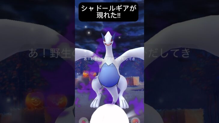【ポケモンGO】シャドウルギアが現れた!!【Shadow Lugia Pokémon GO】