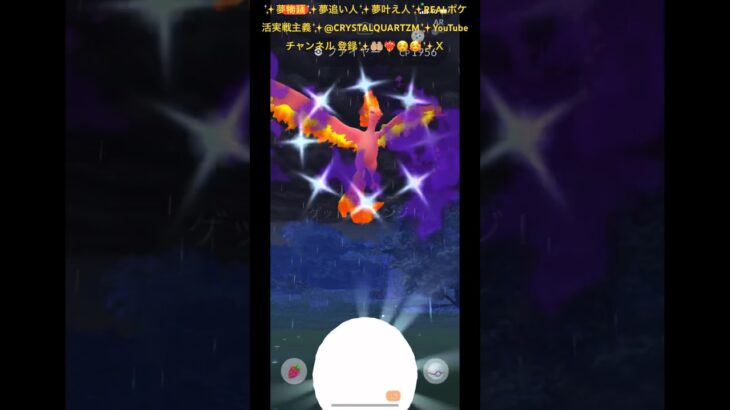 ✨【ポケモンGO】【激レア】【伝説色違いシャドウファイヤー】【クリティカル】✨暴れ狂う伝説色違いシャドウファイヤーちゃん🦩🦅✨VS✨昇龍を召喚捕獲する🐉🥰✨@crystalquartzm