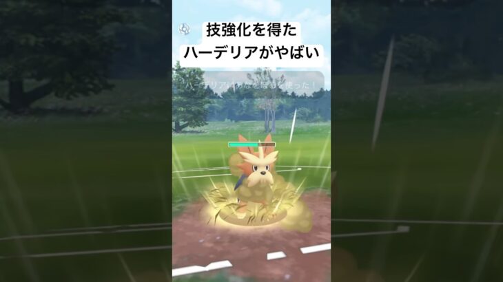 『ポケモンGO』技強化でバク強ハーデリア【スーパーリーグ】#gbl #pokemon #pokemongo #ゲーム #ゲーム実況 #ポケモン #ポケモンgo #バトル #shorts #short