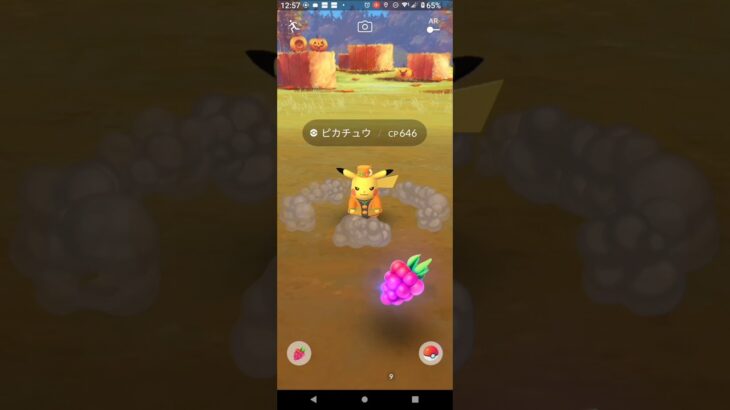 【ポケモンGO】ハロウィン衣装ピカチュウgetチャレンジ2023。