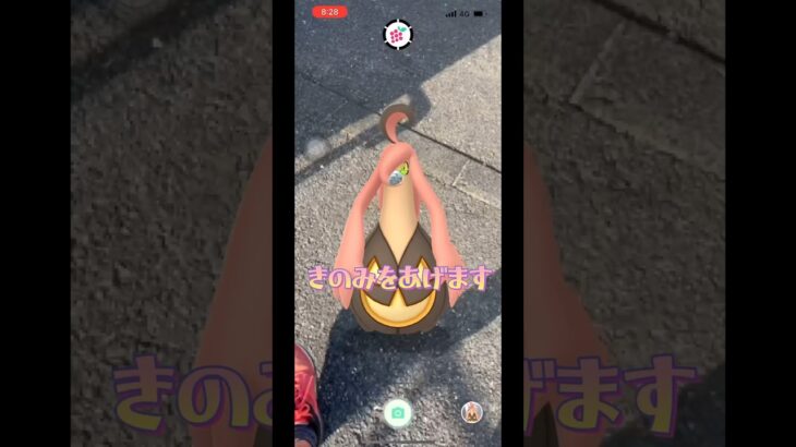 【ポケモンGO】とくだいサイズのパンプジンをフル強化‼︎‼︎#ポケモンgo #shorts #パンプジン