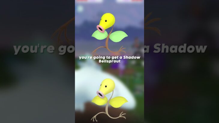 Level Up Your Collection with New Shadow Shinies in Pokemon GO!