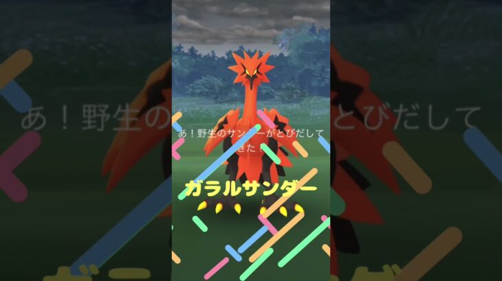 Pokemon GO 新たなmy mission発動【ガラル部隊】召集編 #ポケモンgo #ガラル三鳥 #スーパーリーグ