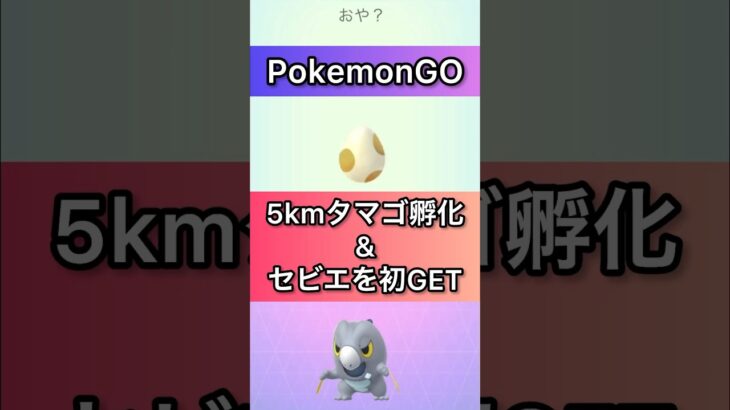 【PokemonGO】5kmタマゴ孵化 & セビエを初GET！【ポケモンGO】