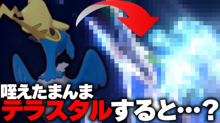 ポケモンを食うポケモン「ウッウ」が、その状態でテラスタルすると……【ポケモンSV】