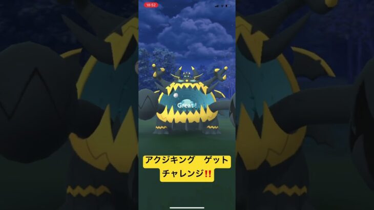 アクジキング　ゲットチャレンジ‼️  UB  宇宙人　ポケモンGO