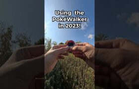 Using the Pokéwalker in 2023! #pokemon #nintendods #pokewalker #nintendo #dkoldies