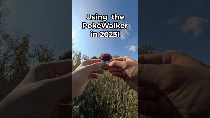 Using the Pokéwalker in 2023! #pokemon #nintendods #pokewalker #nintendo #dkoldies