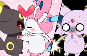 【ポケモンアニメ】ミニニンフィア VS ミニエーフィ！！ミニブラッキー争奪戦(前編)