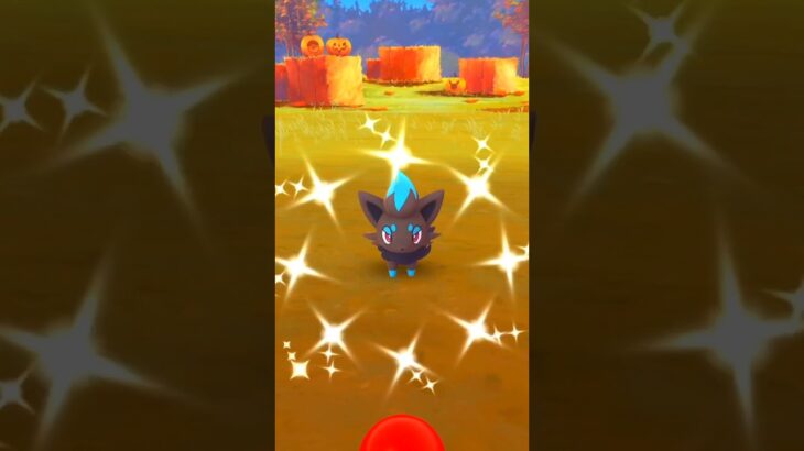 Wtf lowest cp *SHINY ZORUA* caught in pokemon go.