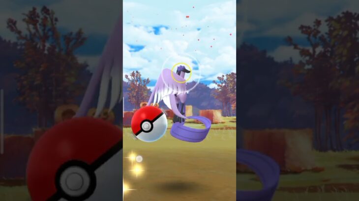 galarian articuno in wild 😮 in Pokemon go 🙃 #viral #pokemon