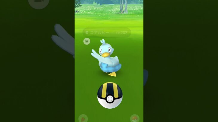 アイ〜ン🖐なコアルヒー🦆しかも、でかい！#ポケモンgo #ポケモン #pokemon #コアルヒー#アイ〜ン#でかい