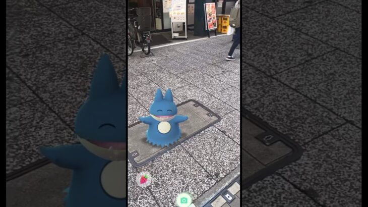 ゴンベ戸越銀座に参上！！ #ゴンベ #pokemon #ポケモンgo #japan #戸越銀座商店街 #shorts #short