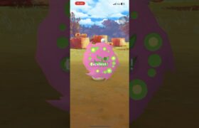 ミカルゲ エクセレントスロー #shorts #ポケモンgo