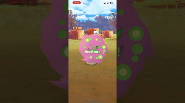 ミカルゲ エクセレントスロー #shorts #ポケモンgo