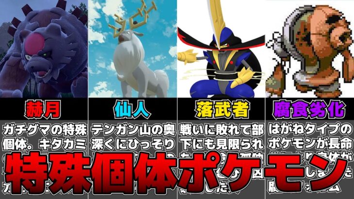 【ポケモン】ガチグマ(赫月)のような”特殊個体”を妄想した結果【反応集】