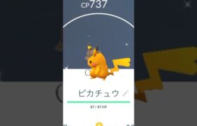 ⚡️ピカチュウ色違い⚡️#youtubeshorts #ポケモンgo #ポケカ開封 #pokemoncards ❤️動きのすべてが可愛い❤️