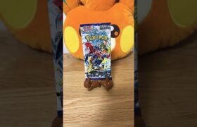 一回ぶっとんでみたい🤩🤩 #youtubeshorts #shortvideo #pokemon #ポケモン #ポケカ #ポケカ開封 #レイジングサーフ #shorts #short