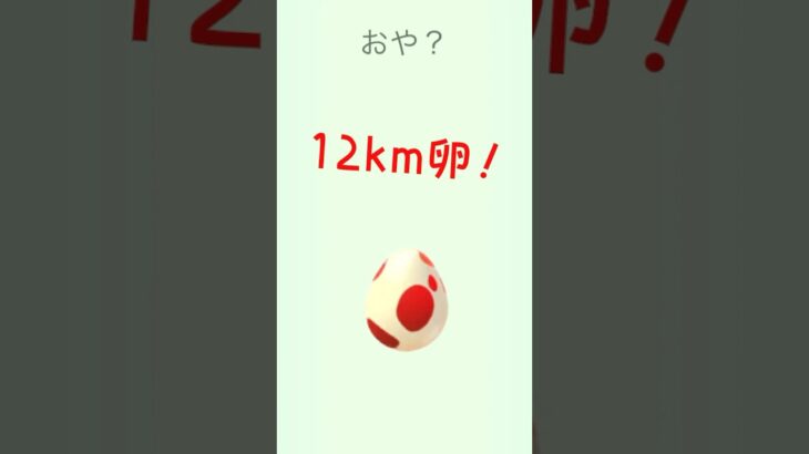 12km卵！何が出るかな⁉︎ #ポケモンgo #pokemon