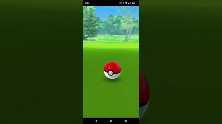 20231108のポケモンgoの原種ポニータ