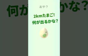 2km卵から何が出る？ #ポケモンgo #pokemongo