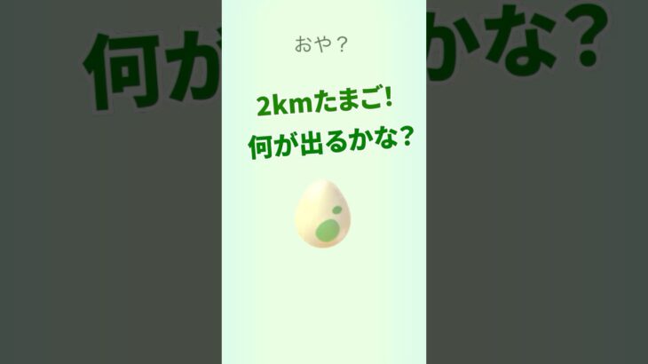 2km卵から何が出る？ #ポケモンgo #pokemongo