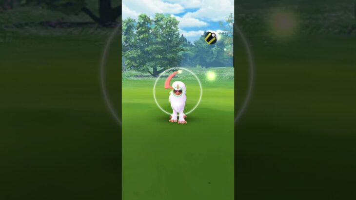 【ポケモンGO】サングラスアブソルの色違いきたぁぁぁ！！