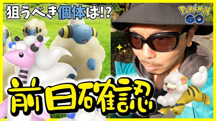 【ポケモンGO】この２種を狙え！復刻版メリープコミュデイの激アツポイントを超解説！色違いヒスイガーディを狙いながらルートバグも検証する前日確認スペシャル！【メガデンリュウ】