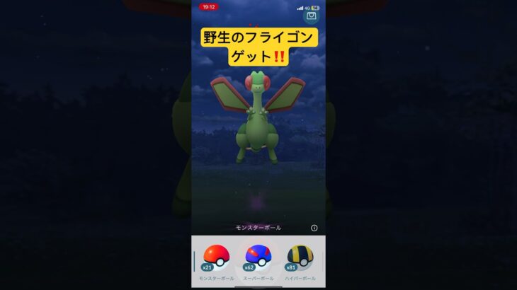 野生のフライゴン　ゲット‼️  登場曲付‼️  ポケモンGO