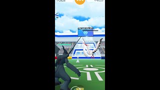 【ポケモンGO】オトシドリのレイド色違い狙ってやってみた