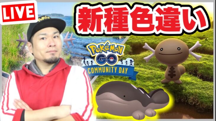 最強のパルデアウパー＆ドオーを作れ！コミュデイぶっ通し生配信【ポケモンGO】