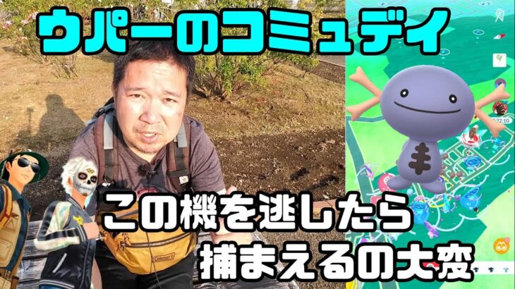 【ポケモンGO】パルデア姿の色違い、この機を逃したら大変だ、ウパーのコミュニティデイ