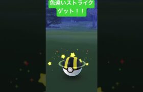 【ポケモンGO】色違いストライクゲットだぜ！！ #ポケモン #pokemon #ポケモンgo